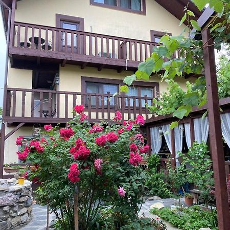 فندق Casa Donau Delta سولينا المظهر الخارجي الصورة