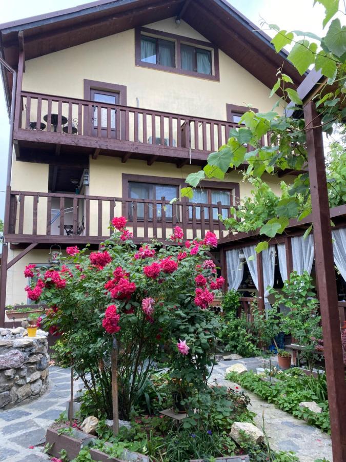 فندق Casa Donau Delta سولينا المظهر الخارجي الصورة