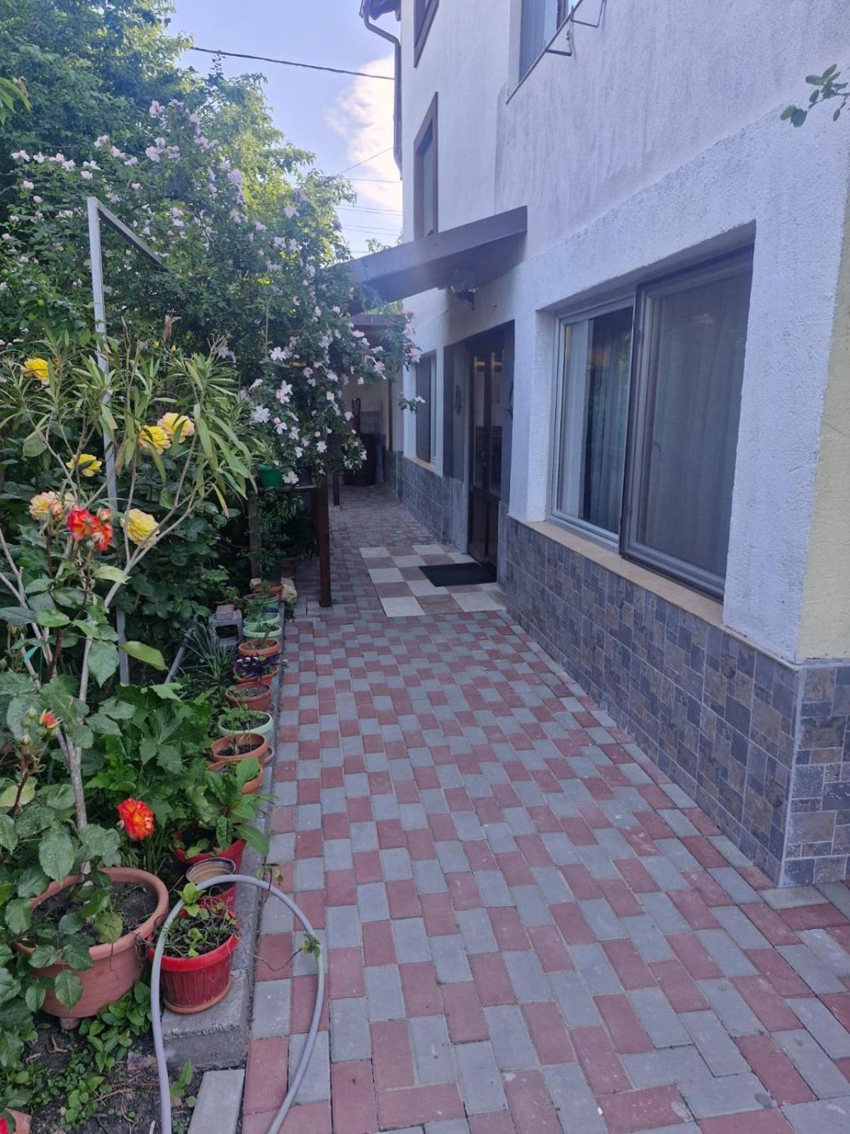فندق Casa Donau Delta سولينا المظهر الخارجي الصورة